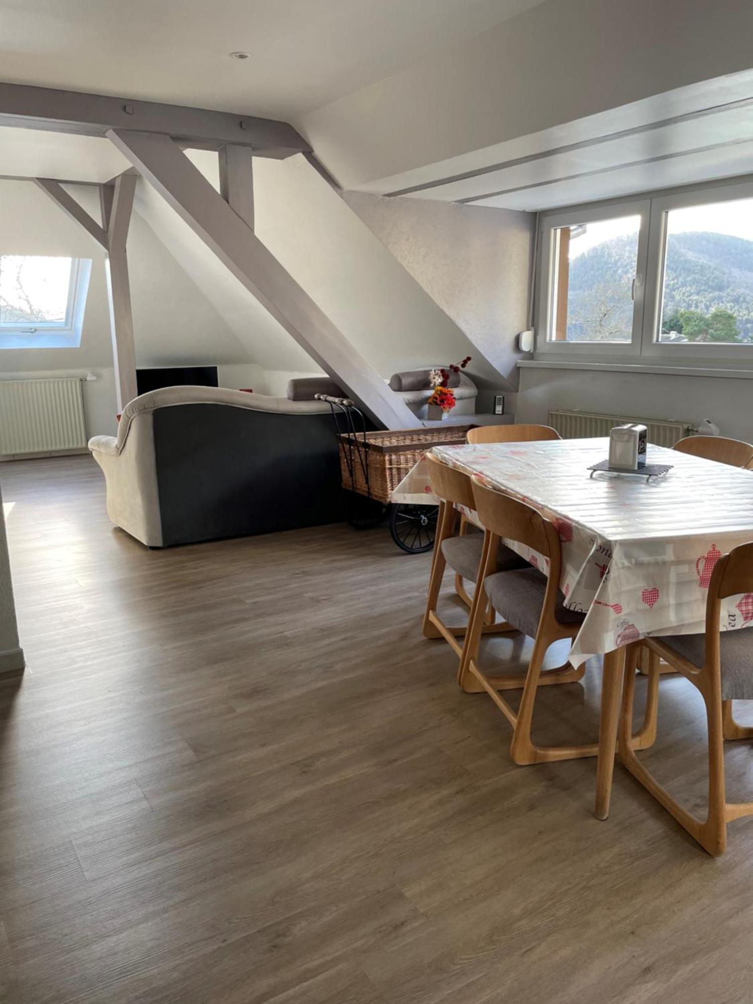 Gite Spacieux, Lumineux Et Tres Cosy Lautenbach Exteriér fotografie